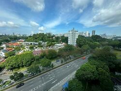 Viz At Holland (D10), Condominium #467684931